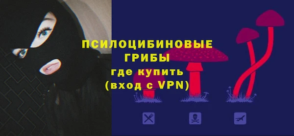 спайс Лагань