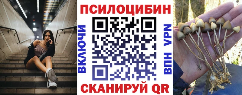 Галлюциногенные грибы Psilocybe  купить наркотики цена  Миасс 