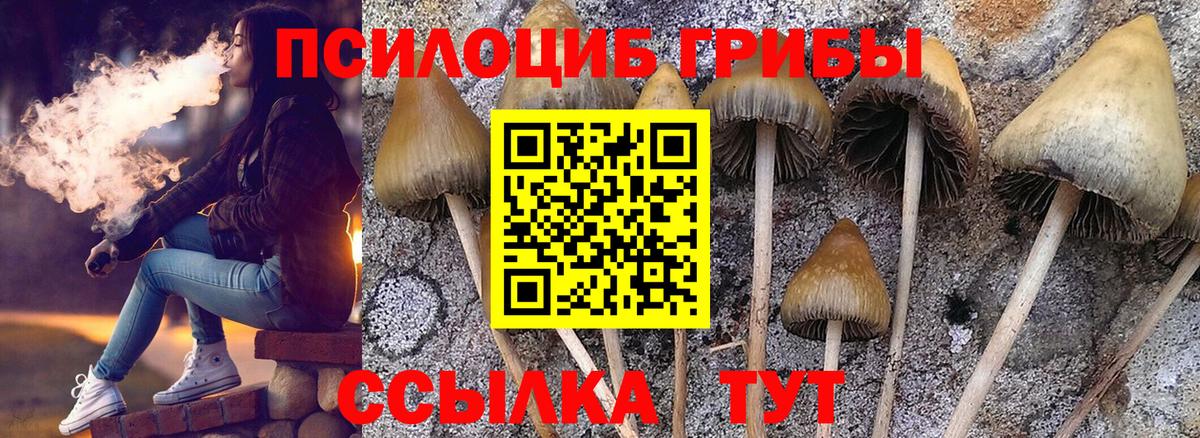 Псилоцибиновые грибы Psilocybine cubensis  цены наркотик  Миасс  Вход с VPN 